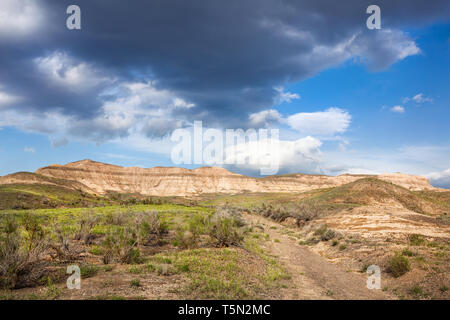 Printemps dans le désert du Kazakhstan Banque D'Images