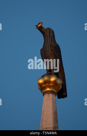 Crow effigie sur l'église Matthias situé à Budapest, Hongrie Banque D'Images