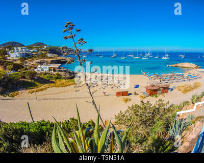 La plage de Cala Tarida. Sant Josep de sa Talaia. L'île d'Ibiza. Iles Baléares. Îles. Espagne Banque D'Images