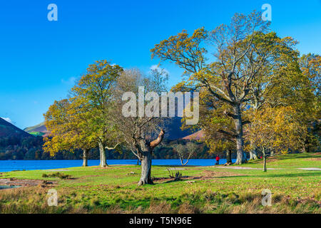 Darwent Eau, Keswick, Parc National de Lake District, Cumbria, Angleterre, Royaume-Uni, Europe. Banque D'Images