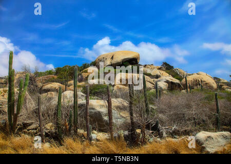 Rock formation et des cactus sur Aruba - Caraïbes Banque D'Images