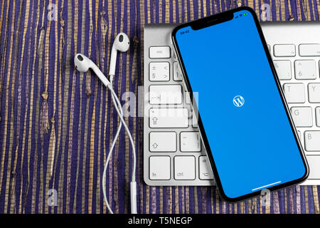 Kaliningrad, Russie, le 10 février 2019 : l'icône de l'application Wordpress sur Apple iPhone écran X close-up. Icône de l'application Wordpress. Wordpress.com applicati Banque D'Images