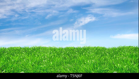 Portrait d'une pelouse verte contre un ciel bleu charmant. Contexte chaleureux. Banque D'Images
