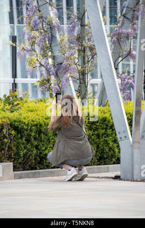 Une dame de cour Fen visiteur à prendre des photos des fleurs dans le jardin Banque D'Images