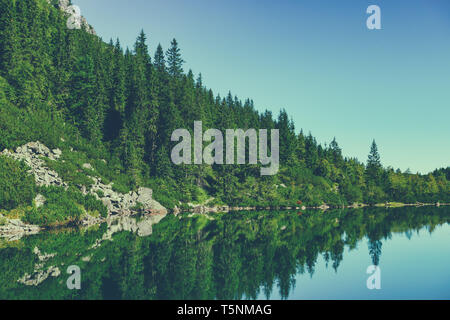 Lac en hautes montagnes avec forêt de pins sur la rive, aux tons couleur vintage Banque D'Images