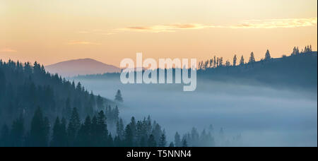 Paysage de montagne d'été. Matin brouillard sur la montagne bleue collines couvertes d'une épaisse forêt de sapins brumeux sur ciel rose vif au lever copie espace zone Banque D'Images