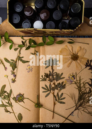 Bouteilles d'huiles et d'herbes sèches, d'herbes de guérison en bonne santé. La médecine de fines herbes. De style rétro. Spa concept Banque D'Images
