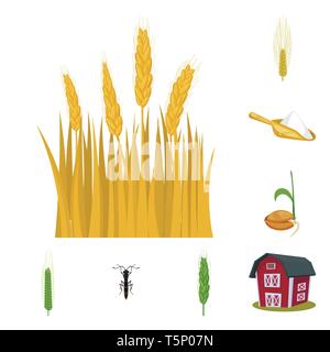 L'orge de printemps,farine,graines,voler,grenier,spike,repas,hiver,grandir,insectes,bâtiment,,ecope,root,dur,lutte,industrie,terrain,commande,automne,un champ d'avoine,stop,Culture,céréales,blé,maïs,grain,récolte,ferme,terrain,agriculture,agriculture,seigle,plantes,,set,icône,,illustration,collection,isolé,design,graphisme,élément signe,caricature,couleur,vecteurs vecteur , Illustration de Vecteur