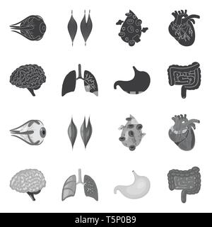 Globe oculaire,sang,musculaire,coeur,cerveau Poumon Estomac,,oeil,organes,plasma,cardiologie,esprit,,trachée,tube,tissu,cornée,cell,,cardiovasculaire,renseignement,pulmonaire intestin gastrique,couches,capot,body,science,douleur,l'artère gastro-intestinaux,structure,biologie,scientifique,recherche,laboratoire,anatomie,organe interne,,médical,des,santé,,set,icône,illustration,isolé,collection,design,élément,graphique,signe,vecteurs vecteur , Illustration de Vecteur