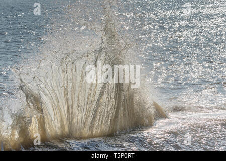 Le fracas des vagues en arrière-éclairé par le soleil du matin Banque D'Images