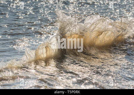 Le fracas des vagues en arrière-éclairé par le soleil du matin Banque D'Images