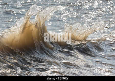 Le fracas des vagues en arrière-éclairé par le soleil du matin Banque D'Images