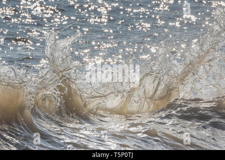 Le fracas des vagues en arrière-éclairé par le soleil du matin Banque D'Images