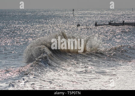 Le fracas des vagues en arrière-éclairé par le soleil du matin Banque D'Images