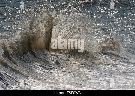 Le fracas des vagues en arrière-éclairé par le soleil du matin Banque D'Images