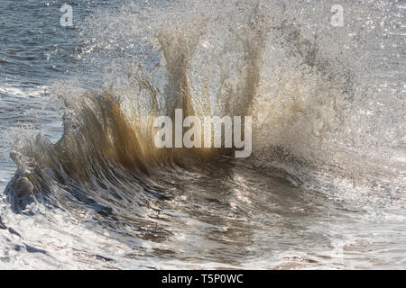 Le fracas des vagues en arrière-éclairé par le soleil du matin Banque D'Images