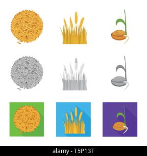 Semences graines,printemps,,spike,grandir,orge,Culture,root, pain, céréales,terrain,blé,campagne,germination germination,or,automne,processus,rural,mûrs,DE,plantation,évolution,avoine,l'agriculture l'agriculture,seigle,usine,blé,maïs,grain,récolte,ferme,,champ,set,icône,illustration,isolé,collection,design,élément,graphique,signe,vecteurs vecteur , Illustration de Vecteur