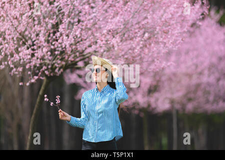 Belle jeune femme dans les fleurs de cerisier en fleurs jardin Banque D'Images