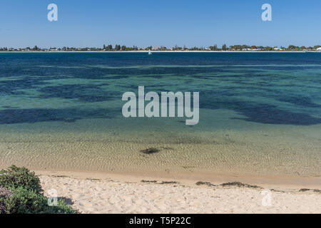 La plage et la belle mer de l'Île Penguin jusqu'à la côte de Rockingham, Australie occidentale dans l'arrière-plan Banque D'Images