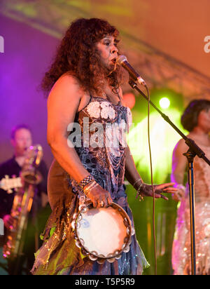 Martha Reeves de Martha Reeves et les Vandellas effectuant au Cornbury festival, Chadlington, Oxfordshire, UK. Le 11 juillet 2015. Banque D'Images