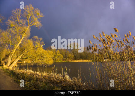 Gewitterstimmung suis Kiessee, Göttingen, Allemagne, Deutschland | thunderstormarriving au lac Kiessee à Göttingen, Basse-Saxe, Allemagne, Eur Banque D'Images