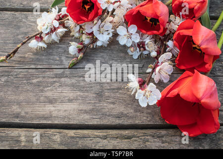 Avec Bouquet de fleurs et d'abricot blanc tulipes rouges sur fond de vieux, les planches de bois. Place pour le texte. Le concept du printemps a venir. Banque D'Images