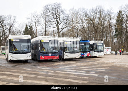 GATCHINA, dans la région de Leningrad, Russie - le 28 mars 2019 : : parking des autobus interurbains de la route 100 à partir de Gatchina à Saint-Pétersbourg à la place de la gare Banque D'Images