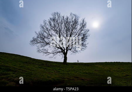 Une figure solitaire marche sur l'horizon vers une silhouette d'arbre sur l'dans le Clent Hills Worcestershire, Royaume-Uni. Banque D'Images