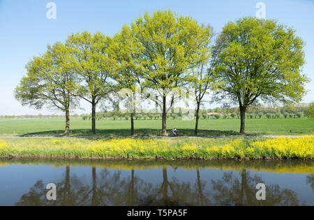 Des promenades en couple à vélo le long de l'eau valleikanaal près de Amersfoort aux Pays-Bas et la passe de colza jaune fleurs Banque D'Images