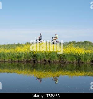 Des promenades en couple à vélo le long de l'eau valleikanaal près de Amersfoort aux Pays-Bas et la passe de colza jaune fleurs Banque D'Images