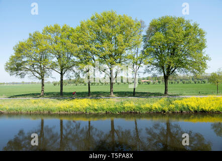 Balades en vélo le long de l'homme de l'eau valleikanaal près de Amersfoort aux Pays-Bas et la passe de colza jaune fleurs Banque D'Images