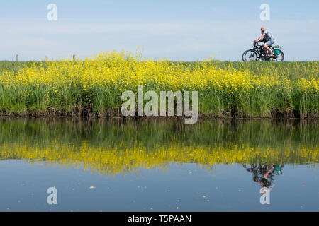 Des promenades en couple à vélo le long de l'eau valleikanaal près de Amersfoort aux Pays-Bas et la passe de colza jaune fleurs Banque D'Images