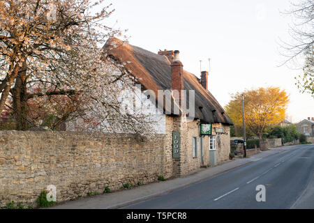 Le lamb inn sur une première matinée de printemps dans la région de Little Milton, Oxfordshire, Angleterre Banque D'Images