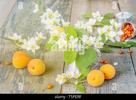 Printemps Nature morte avec fleurs de jasmin blanc dans un pot en métal et les abricots mûrs sur le vieux panneaux en bois Banque D'Images