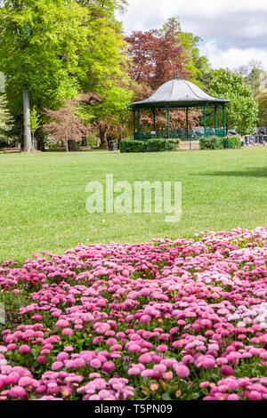 Northampton. 26 avril 2019. Météo France : la météo. Beau temps en fin de matinée dans la région de Abington Park, regard vers le stand de bande avec des lits de fleurs au premier plan. Credit : Keith J Smith./Alamy Live News Banque D'Images