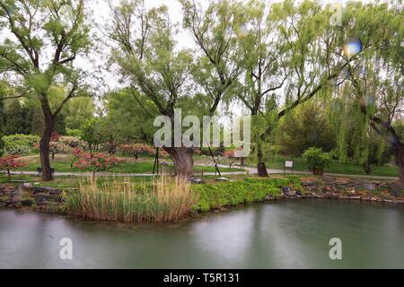 Beijing, Chine. Apr 24, 2019. Photo prise le 24 avril 2019, présente le paysage des pluies du Palais d'été à Beijing, capitale de la Chine. Credit : Zhang Haofu/Xinhua/Alamy Live News Banque D'Images