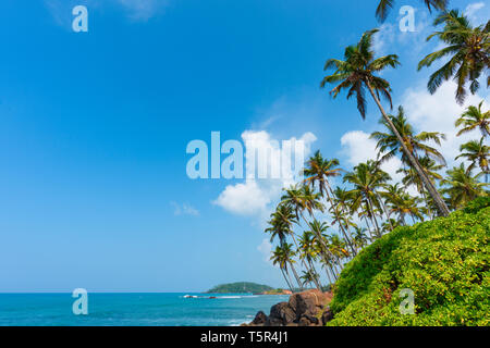 Palmiers sur la côte de l'île tropicale sur les rochers au-dessus de l'océan calme Banque D'Images