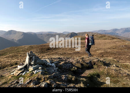 Walker sur le sommet de Beda Beda Fell (tête) avec la vue sud sur Bannerdale vers reste Dodd, Lake District, Cumbria, Royaume-Uni Banque D'Images