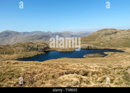 Tarn et l'angle de vue vers l'Helvellyn et Dodds, Lake District, Cumbria, Royaume-Uni Banque D'Images