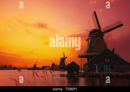 Moulins à vent traditionnel néerlandais sur la berge du canal au coucher du soleil chaud de la lumière près d'Amsterdam aux Pays-Bas Banque D'Images