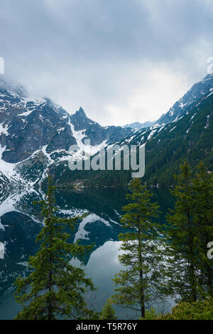 Pins sur le lac dans les montagnes enneigées Banque D'Images