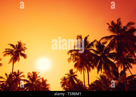 Silhouettes de palmiers tropicaux sur la plage au coucher du soleil Banque D'Images