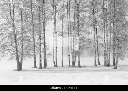 Tremble avec le brouillard et la neige de l'hiver ; le lac du cratère l'autoroute près de Fort Klamath, Oregon. Banque D'Images