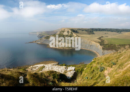 Une vue vers l'ouest de la côte du Dorset, extraite du Emmett's Hill sur l'île de Purbeck. Banque D'Images