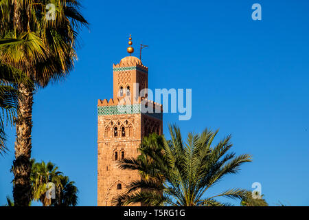 Le minaret de Koutoubia sous le soleil de Marrakech, Maroc, encadrée par des palmiers Banque D'Images