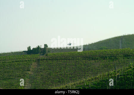 Les besoins de la photo. La pulvérisation aérienne d'archives en hélicoptère sur les vignobles, de l'Italie. Banque D'Images