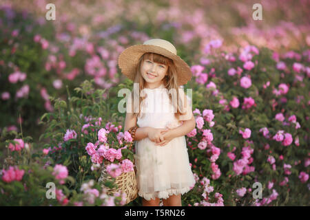 Une petite fille dans le jardin d'une rose thé. Banque D'Images