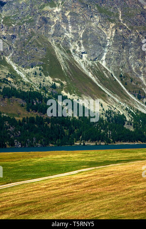 Balade autour du Lac de Sils en Engadine Valley - (France - Europe) Banque D'Images