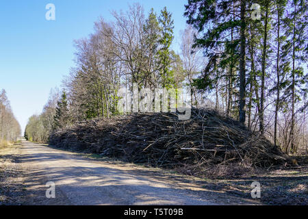 Une grosse pile de la branche d'arbre sur le bord de la route avant de préparer dans des copeaux de bois pour la bioénergie Banque D'Images