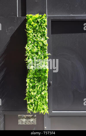 Plante verte artificielle sur la façade d'un bâtiment moderne hôtel à Porto, Porto, Portugal KATHY DEWITT Banque D'Images